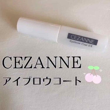 アイブロウコートEX/CEZANNE/アイブロウコートを使ったクチコミ（1枚目）