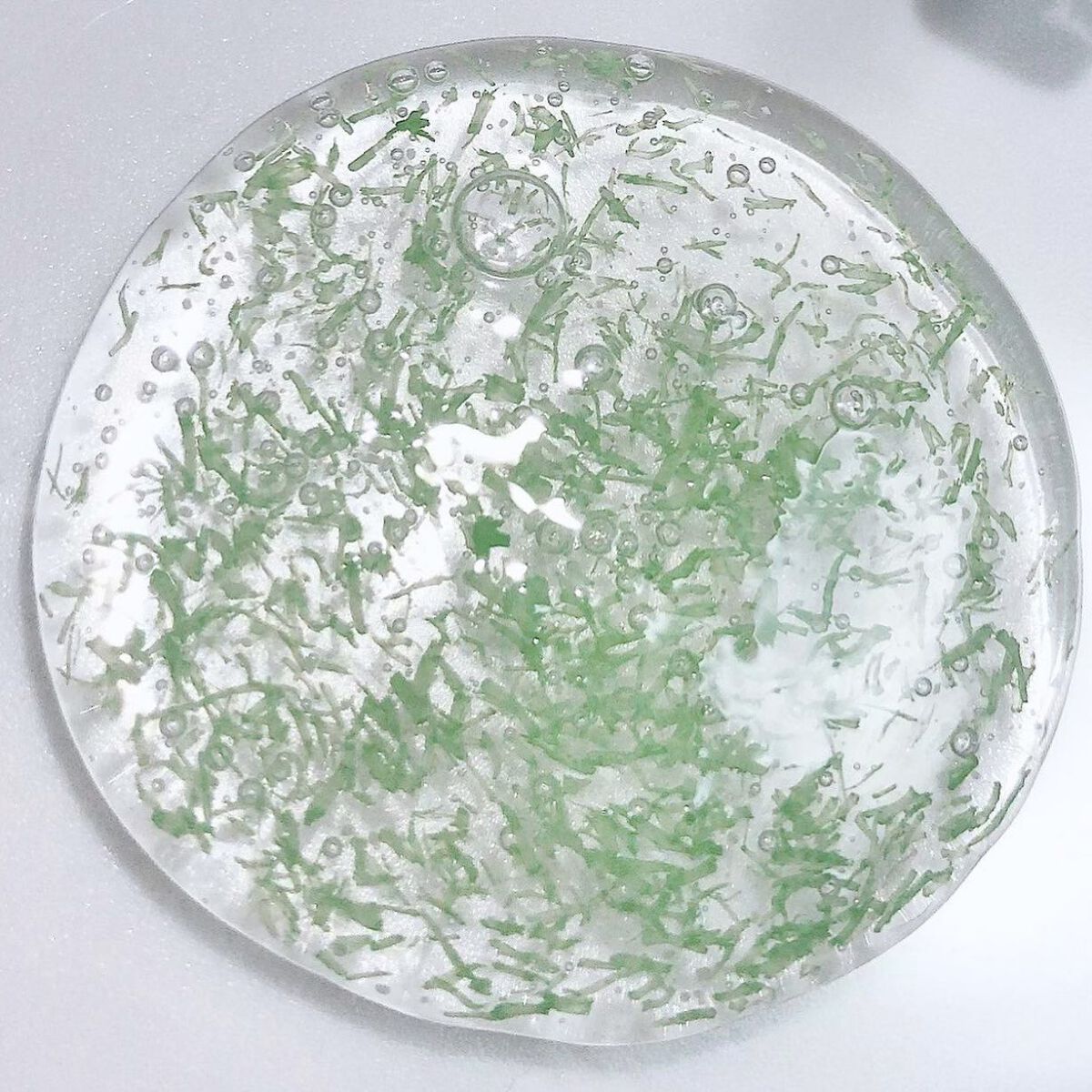 NATSUMI on LIPS 「スーパーフードとして知られるモリンガ入りの全身使える洗浄料🫧不..」(4枚目)