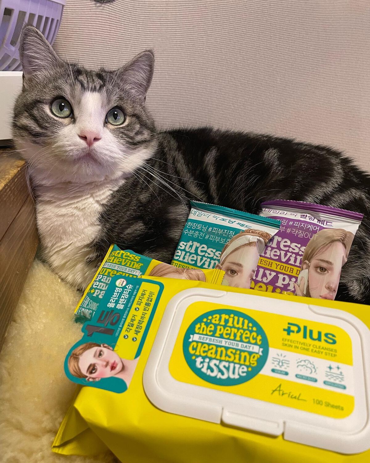 ストレスリリービングデイリーピックピーリングパッド/Ariul/トナーパッドを使ったクチコミ（1枚目）