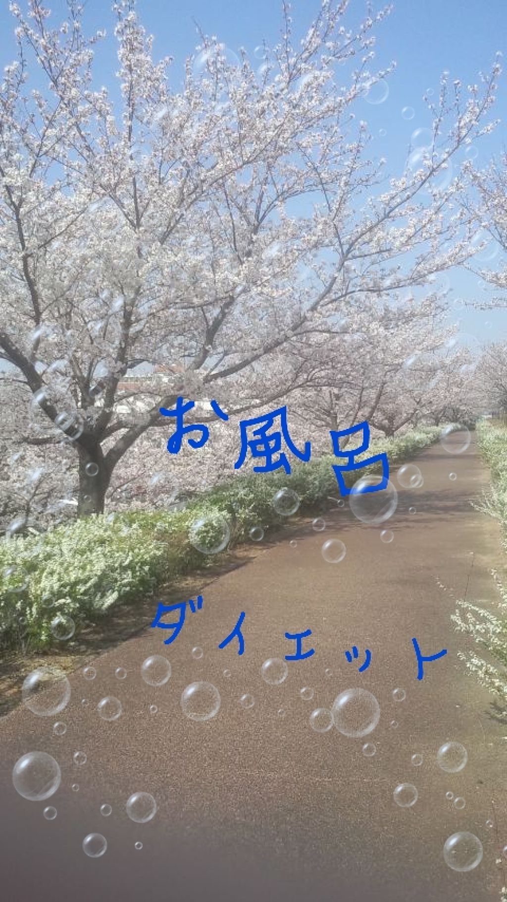 自己紹介/雑談/その他を使ったクチコミ（1枚目）