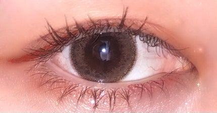 VNTUS 1day/VNTUS/ワンデー(1DAY)カラコンを使ったクチコミ(1枚目)