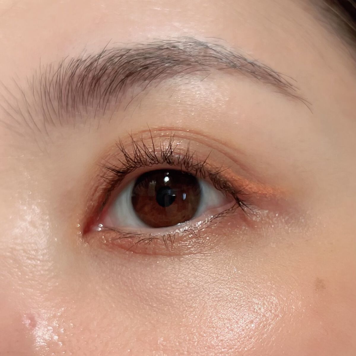 ヴィセ アヴァン リップ&アイカラー ペンシル 021 PUMPKIN PIE/Visée/ペンシルアイライナーを使ったクチコミ（2枚目）