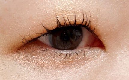 コンスピキュアス アイ&チークカラーパレット リミテッドコレクション c/Amplitude/アイシャドウパレットを使ったクチコミ(7枚目)