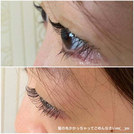 アイラッシュグルー/ミッシュブルーミン/つけまつげを使ったクチコミ(6枚目)