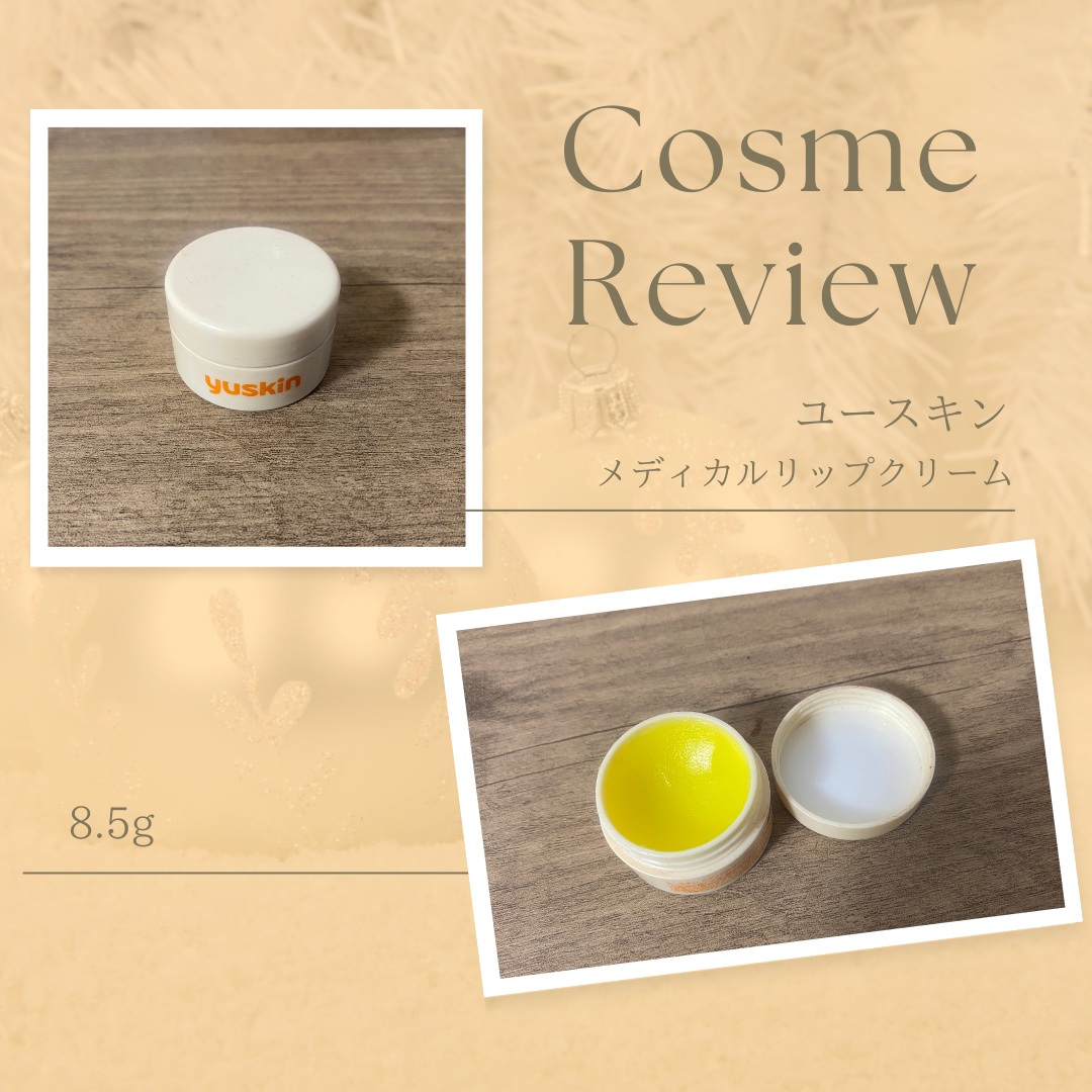 ユースキン メディカルリップクリーム 　(医薬品)/ユースキン/その他を使ったクチコミ（1枚目）