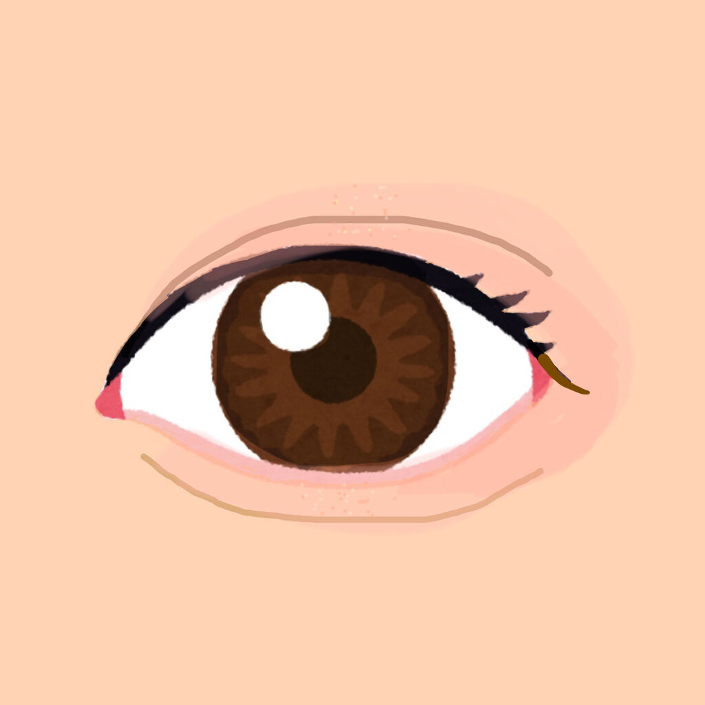 トーン ペタル アイシャドウ 10:ウォームピンク/to/one/アイシャドウパレットを使ったクチコミ（2枚目）