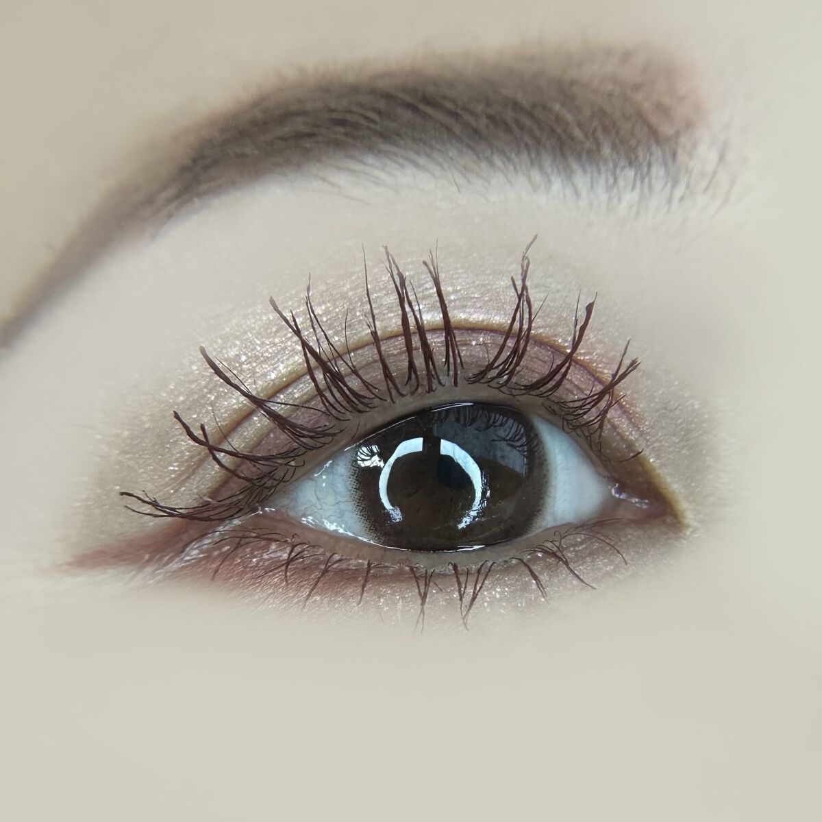 ネオサイトワンデー リングUV モーヴブラウン/Aire/ワンデー（１DAY）カラコンを使ったクチコミ（3枚目）