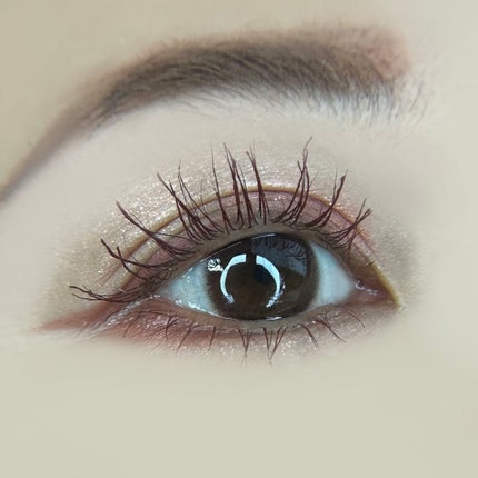 ネオサイトワンデー リングUV モーヴブラウン/Aire/ワンデー(1DAY)カラコンを使ったクチコミ(3枚目)