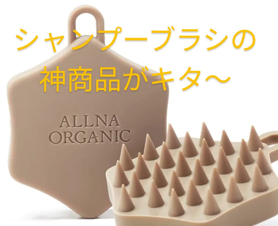 マッサージブラシ/ALLNA ORGANIC/スカルプブラシを使ったクチコミ（1枚目）