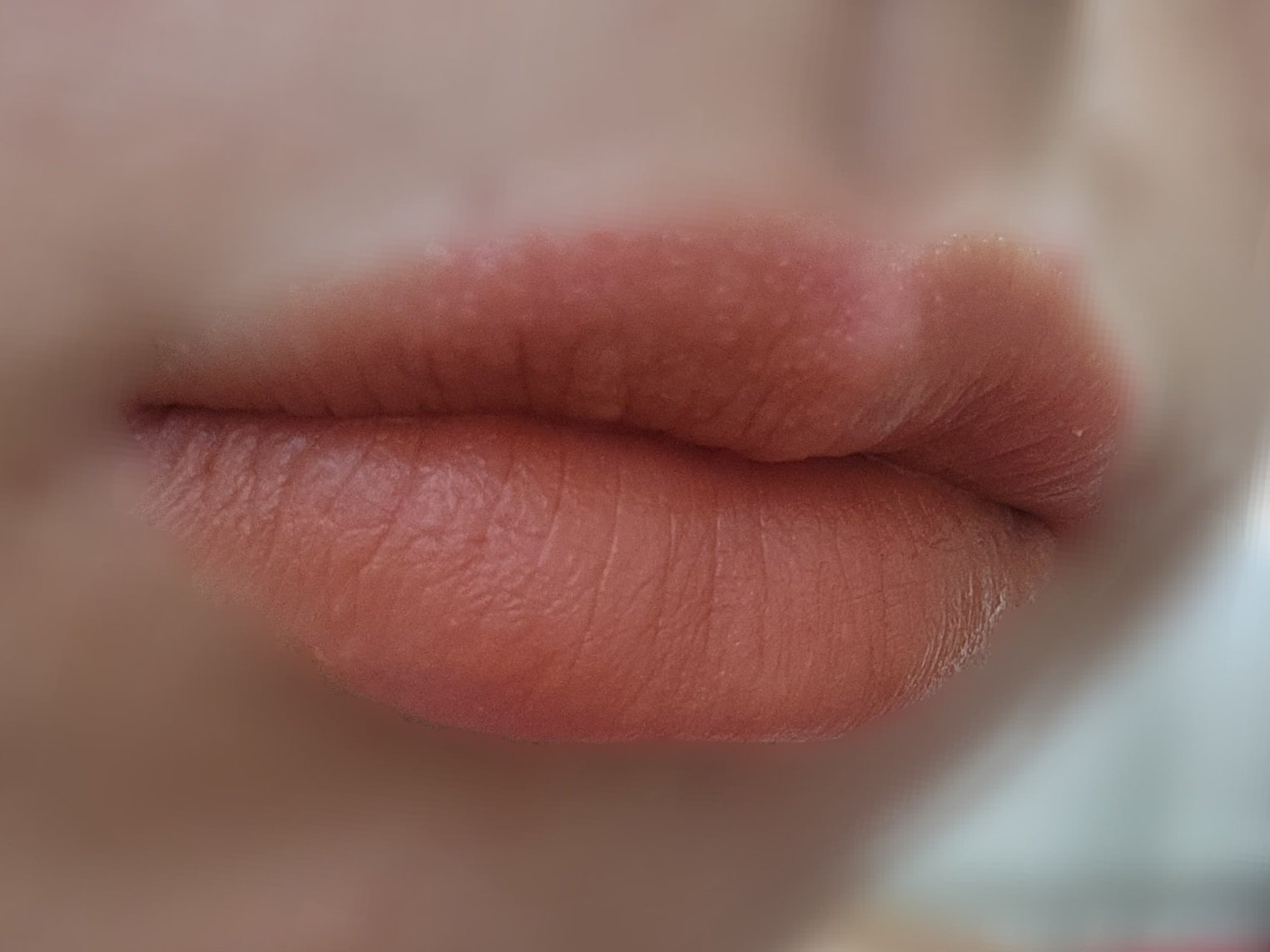 オブジェリキッド 015 Pride/MUZIGAE MANSION/口紅を使ったクチコミ（3枚目）