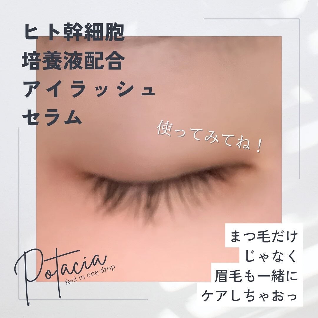 POTACIA ヒト幹細胞培養液 アイラッシュセラム/POTACIA/まつげ美容液を使ったクチコミ(5枚目)