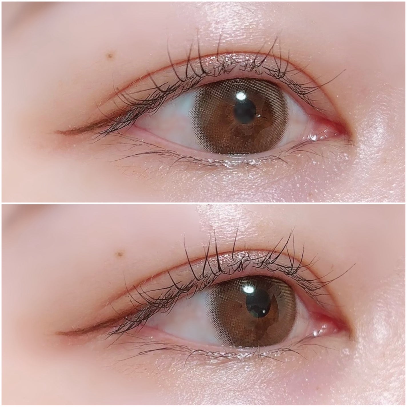 LASH & BROW ENRICHED BLACK SERUM/MARSHIQUE/まつげ美容液を使ったクチコミ(3枚目)