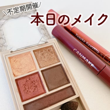 パノラマデザイン アイパレット/Visée/アイシャドウパレットを使ったクチコミ（1枚目）