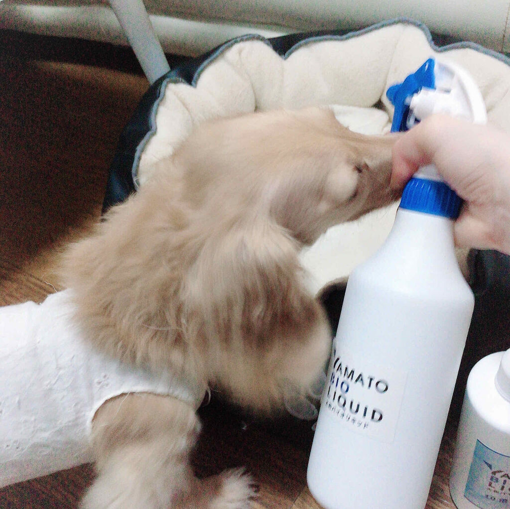 大和バイオリキッド 10倍希釈タイプ/大和バイオリキッド/その他を使ったクチコミ（2枚目）