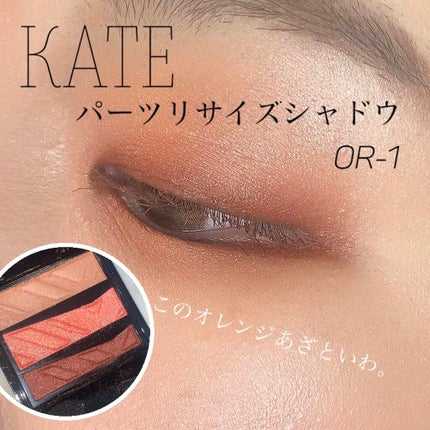 パーツリサイズシャドウ/KATE/アイシャドウパレットを使ったクチコミ(1枚目)