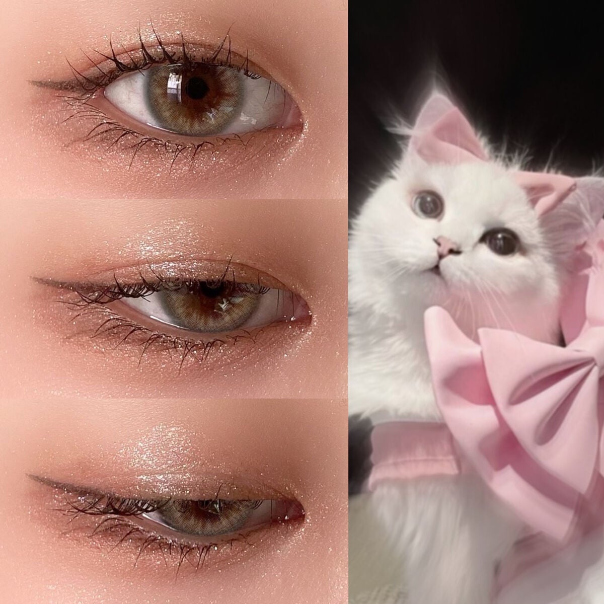 ãšãã¥ã» ã¢ã€ãšãã£ã·ã§ã³ (ãã¹ã«ã©ããŒã¹)/ettusais/ãã¹ã«ã©äžå°ã䜿ã£ãã¯ãã³ãïŒ2æç®ïŒ
