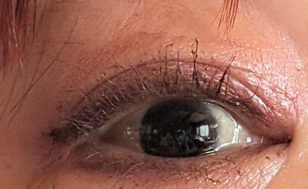 セパレートロングマスカラ/CEZANNE/マスカラを使ったクチコミ（2枚目）