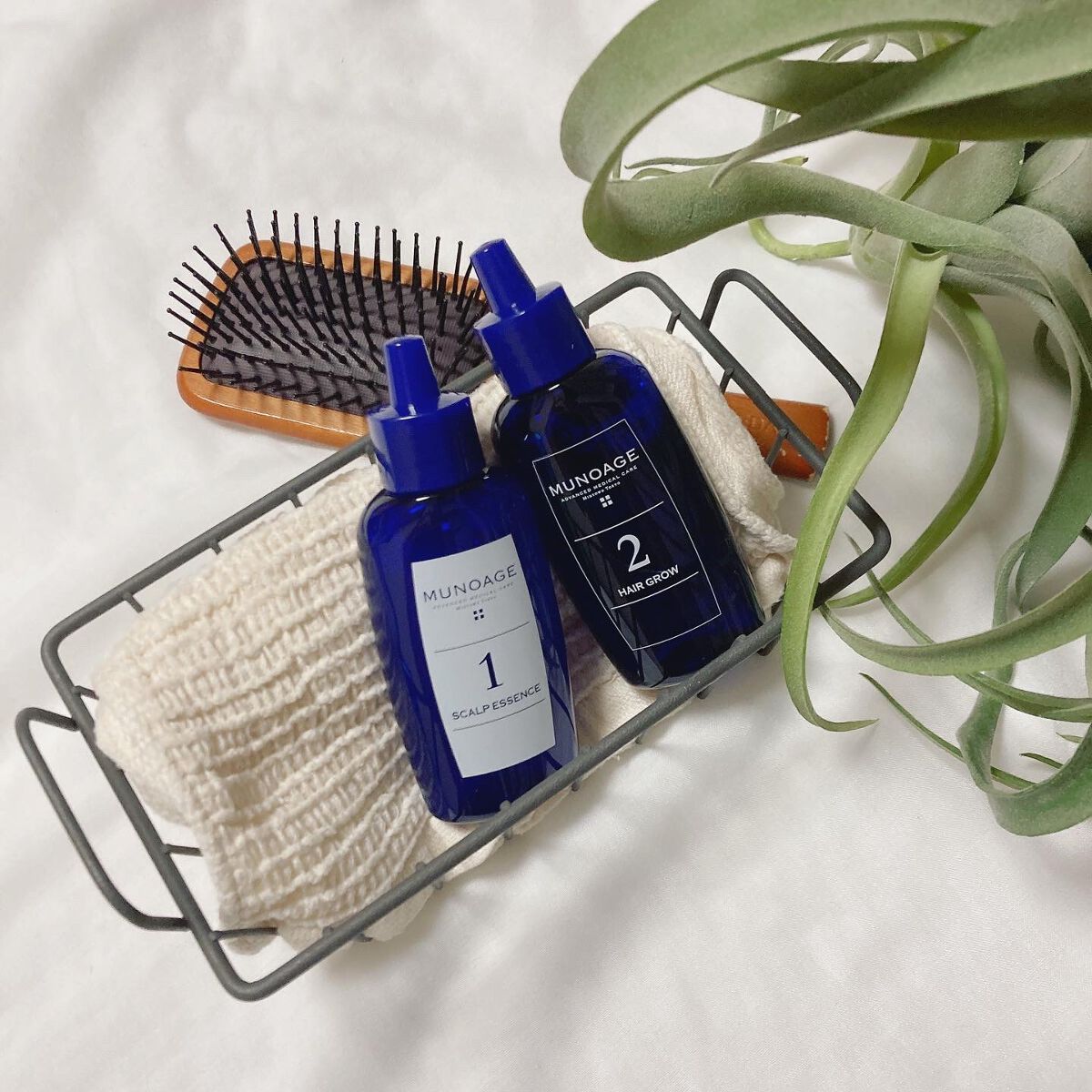 Wアプローチヘアプログラム/MUNOAGE(ミューノアージュ)/頭皮ローションを使ったクチコミ（2枚目）