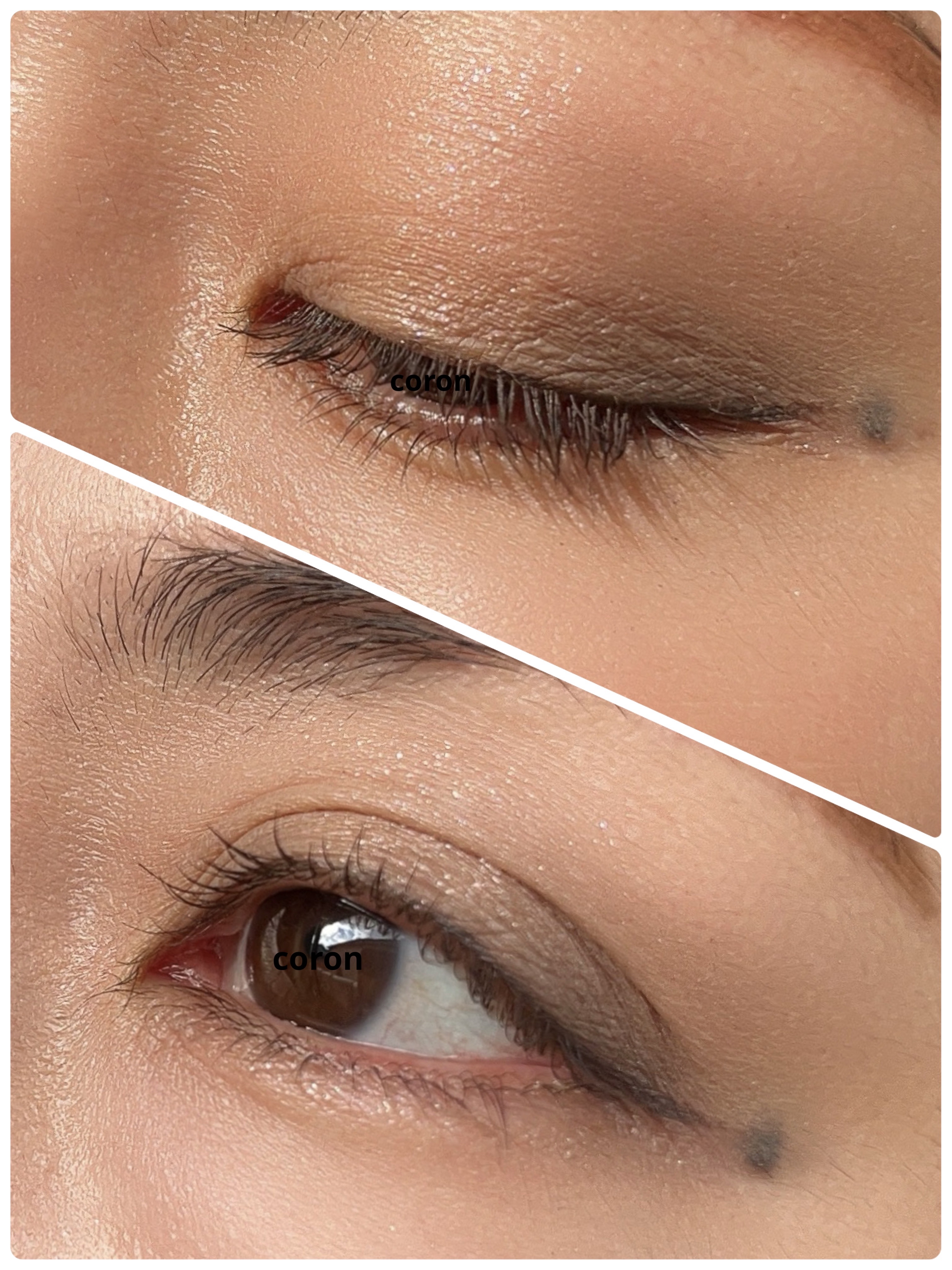 シグニチャー カラー アイズ/SUQQU/アイシャドウパレットを使ったクチコミ（2枚目）