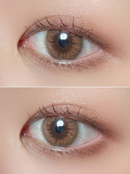 シャドウパレット/dasique/アイシャドウパレットを使ったクチコミ(2枚目)