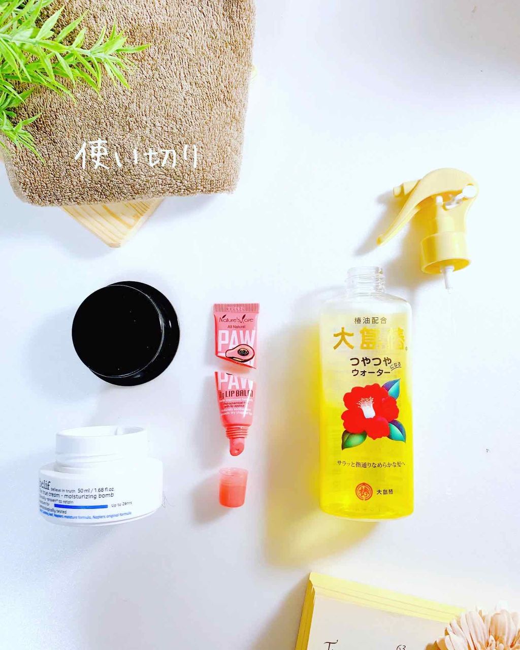 ヘアウォーター/大島椿/プレスタイリング・寝ぐせ直しを使ったクチコミ(1枚目)