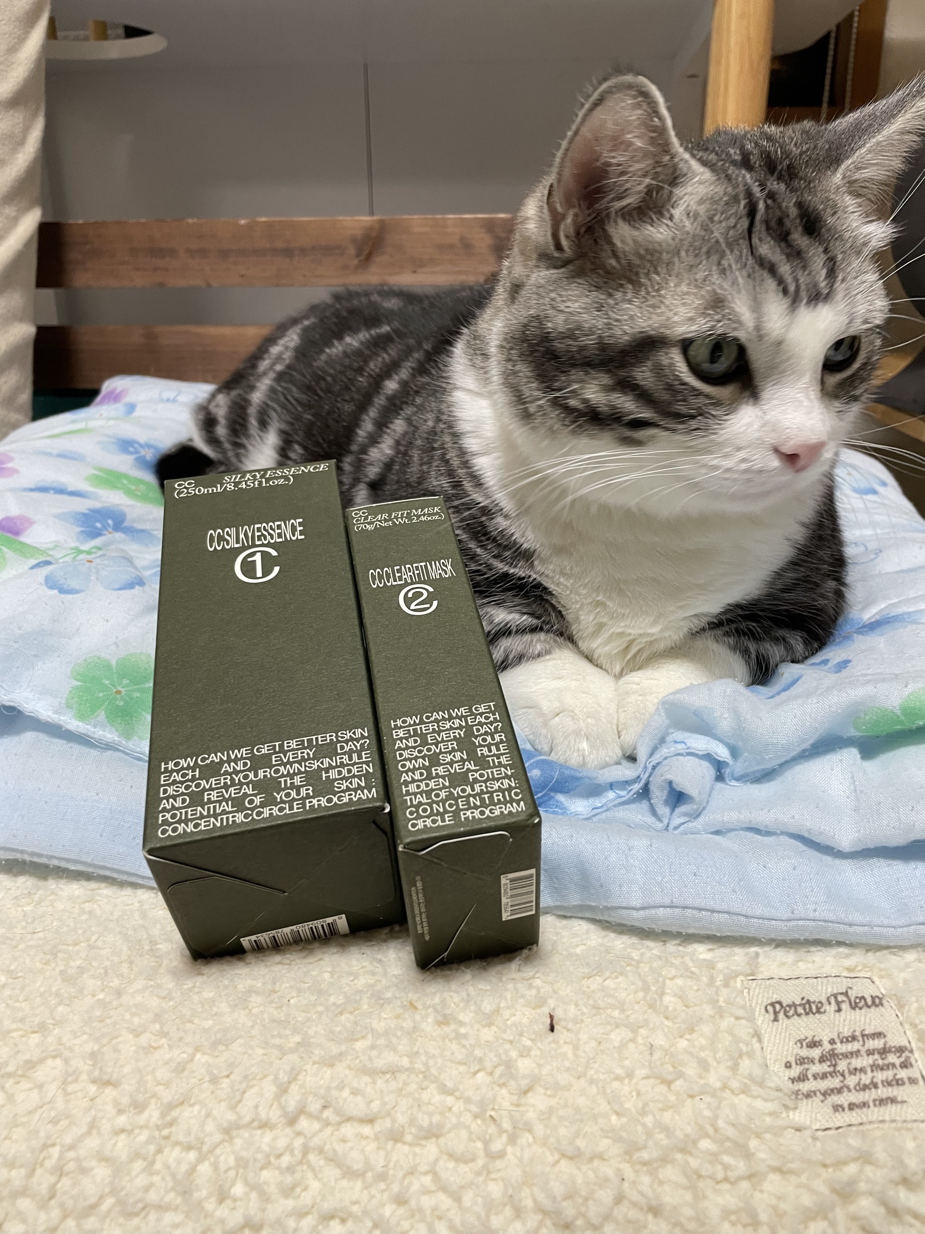 CCクリアフィットマスク/Shangpree/洗い流すパック・マスクを使ったクチコミ（1枚目）