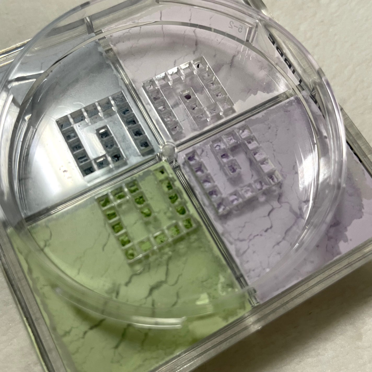 ããªãºã ã»ãªãŒãã«/GIVENCHY/ã«ãŒã¹ããŠããŒã䜿ã£ãã¯ãã³ãïŒ3æç®ïŒ