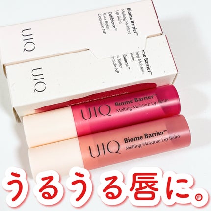 バイオームバリアメルティングモイスチャーリップバーム/UIQ/リップバームを使ったクチコミ(1枚目)