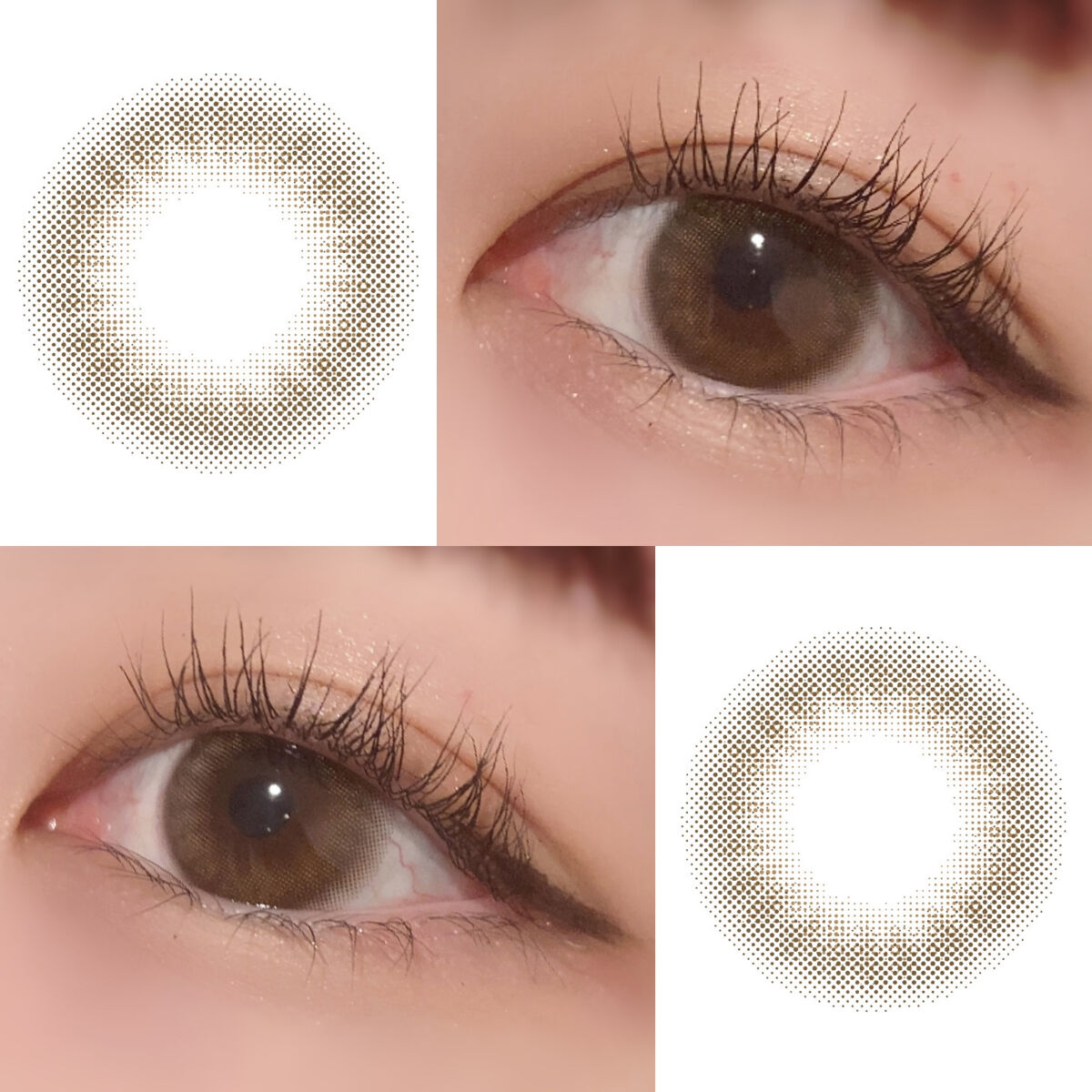 TOPARDS 1day ガーネット/TOPARDS/ワンデー（１DAY）カラコンを使ったクチコミ（3枚目）