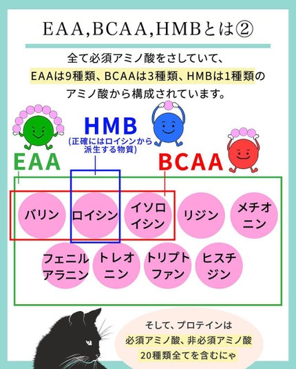 凛 on LIPS 「【痩せたいし筋肉もつけたい】これらにまつわる嘘は、「飲むだけで..」(4枚目)