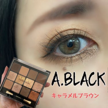 グラムチェンジマルチパレット 01 キャラメルブラウン/A.BLACK/アイシャドウパレットを使ったクチコミ（1枚目）