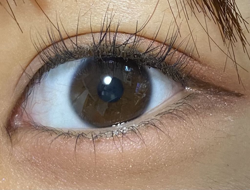 36カラーアイシャドウパレット/ドン・キホーテ/アイシャドウパレットを使ったクチコミ（3枚目）