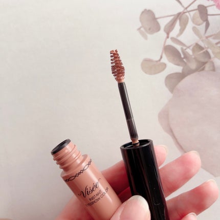 ヴィセ リシェ アイブロウパウダー/Visée/パウダーアイブロウを使ったクチコミ(5枚目)