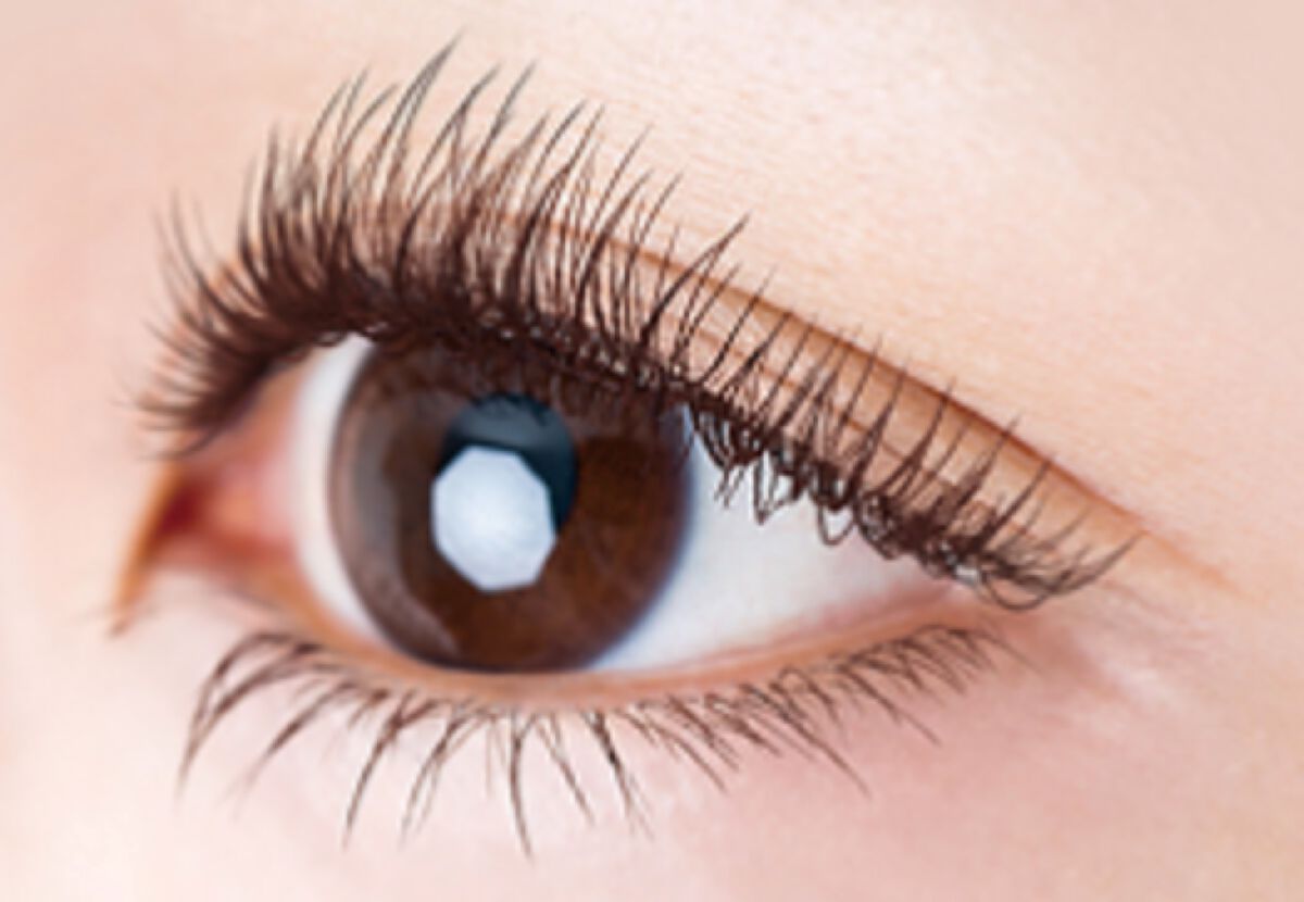 ロング＆カラード ラッシュ LC01 ダークウォルナット