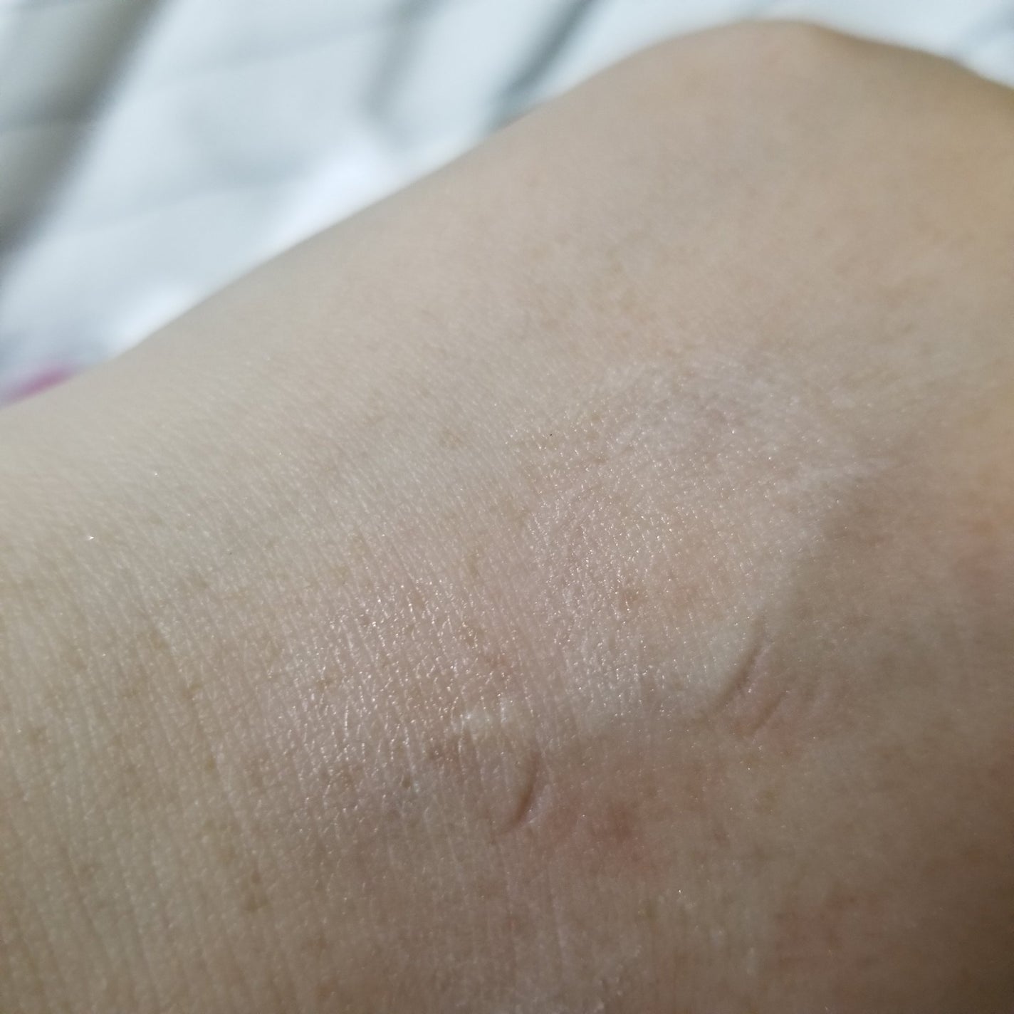 ラスティングマルチアイベース WP/キャンメイク/アイシャドウベースを使ったクチコミ(6枚目)