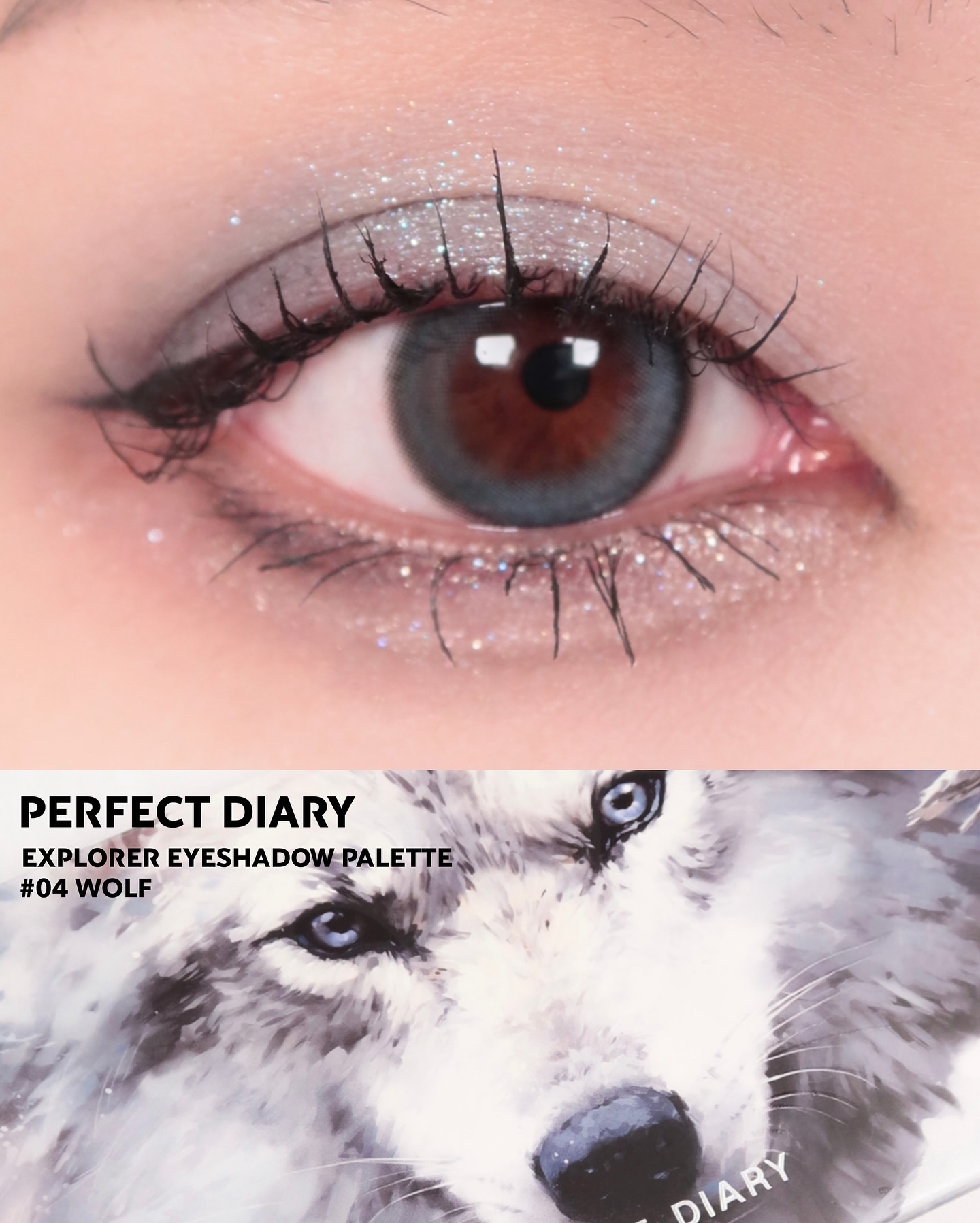 エクスプローラ12色 動物アイシャドウパレット/PERFECT DIARY/アイシャドウパレットを使ったクチコミ（1枚目）