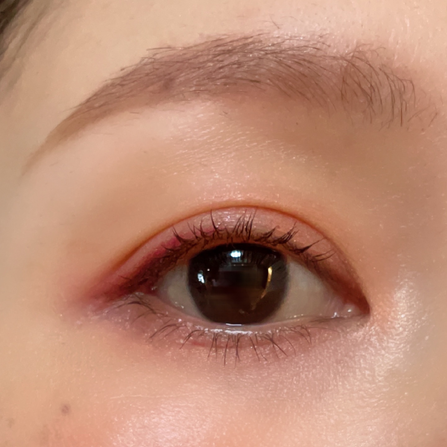 ジルスチュアート ニュアンスブロウパレット 06 red shade/JILL STUART/パウダーアイブロウを使ったクチコミ（1枚目）