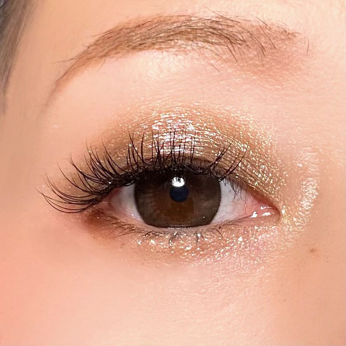 ムーン クライシス アイパレット/shu uemura/アイシャドウパレットを使ったクチコミ(5枚目)