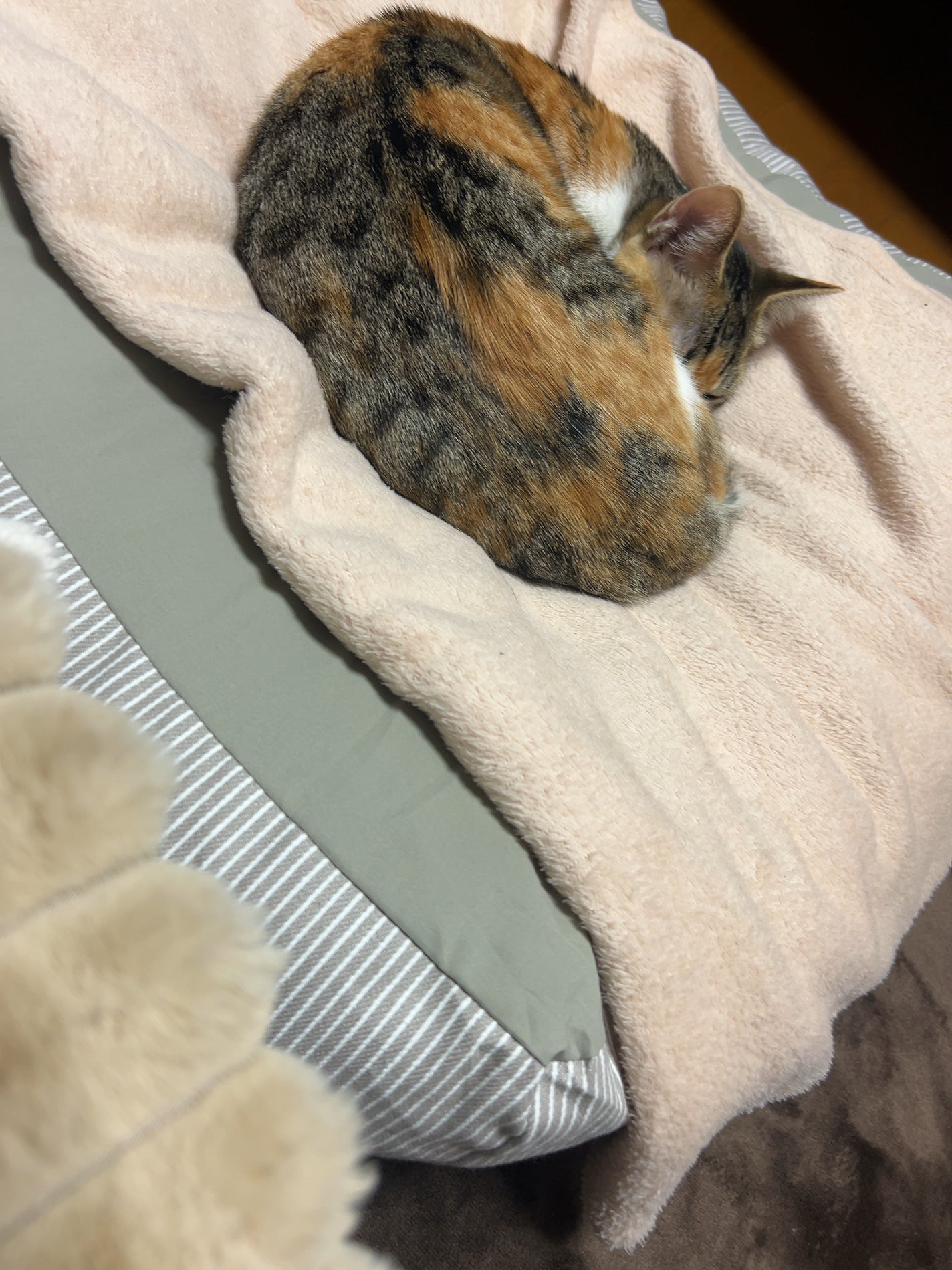 アクリルボトルスタンド3段/無印良品/その他化粧小物を使ったクチコミ(5枚目)