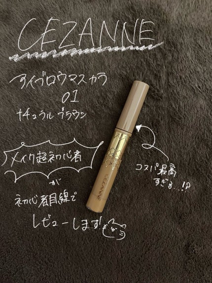 アイブロウマスカラ/CEZANNE/眉マスカラを使ったクチコミ(1枚目)