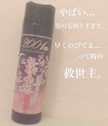 エレンス2001 プラス桜茶シャンプー／桜茶ヘアパック/ELENCE(エレンス)/シャンプー・コンディショナーを使ったクチコミ（1枚目）