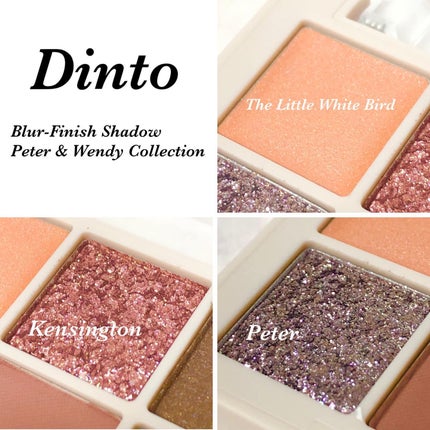 ブラーフィニシュシャドウパレット/Dinto/アイシャドウパレットを使ったクチコミ(3枚目)