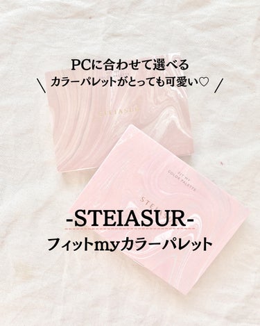 フィット my カラーパレット/STEIASUR（ステイアシュール）/メイクアップキットを使ったクチコミ（1枚目）