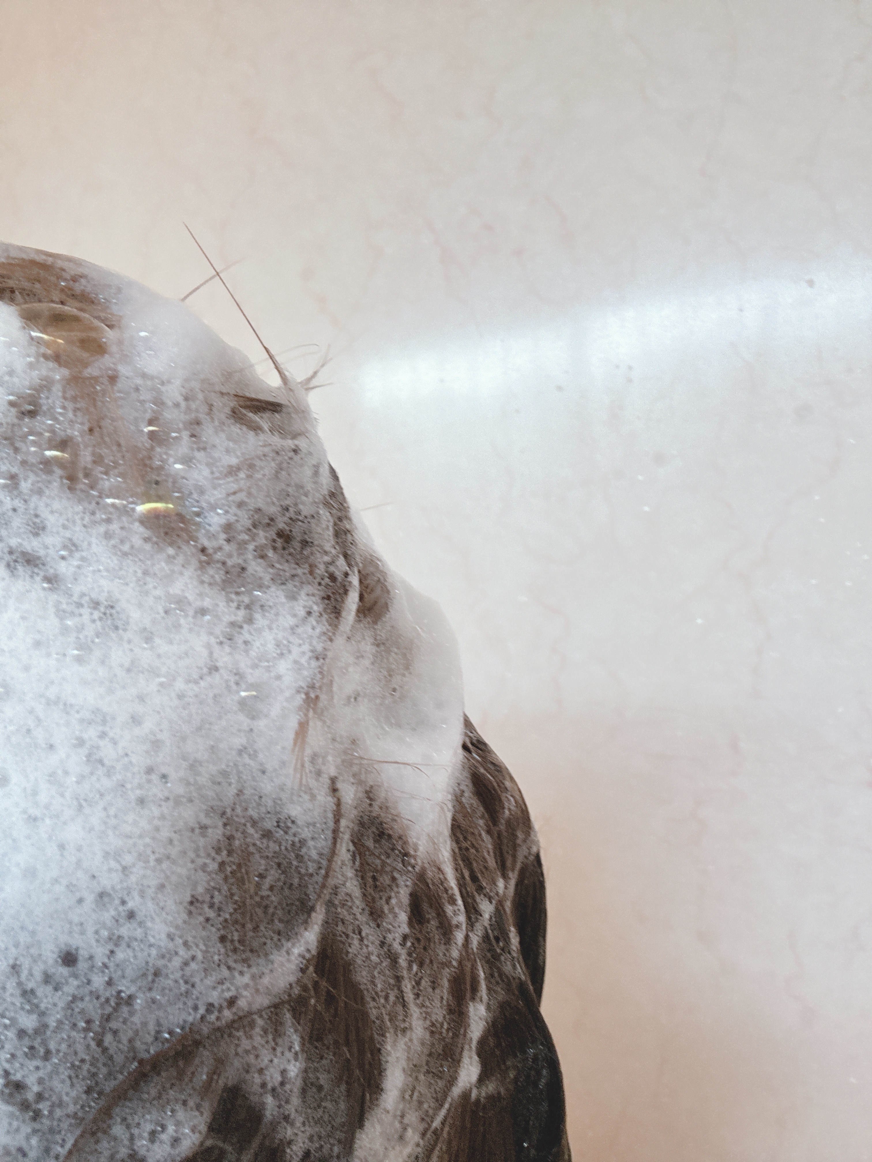 CH ユイル クロノロジスト R/ケラスターゼ/ヘアオイルを使ったクチコミ（2枚目）