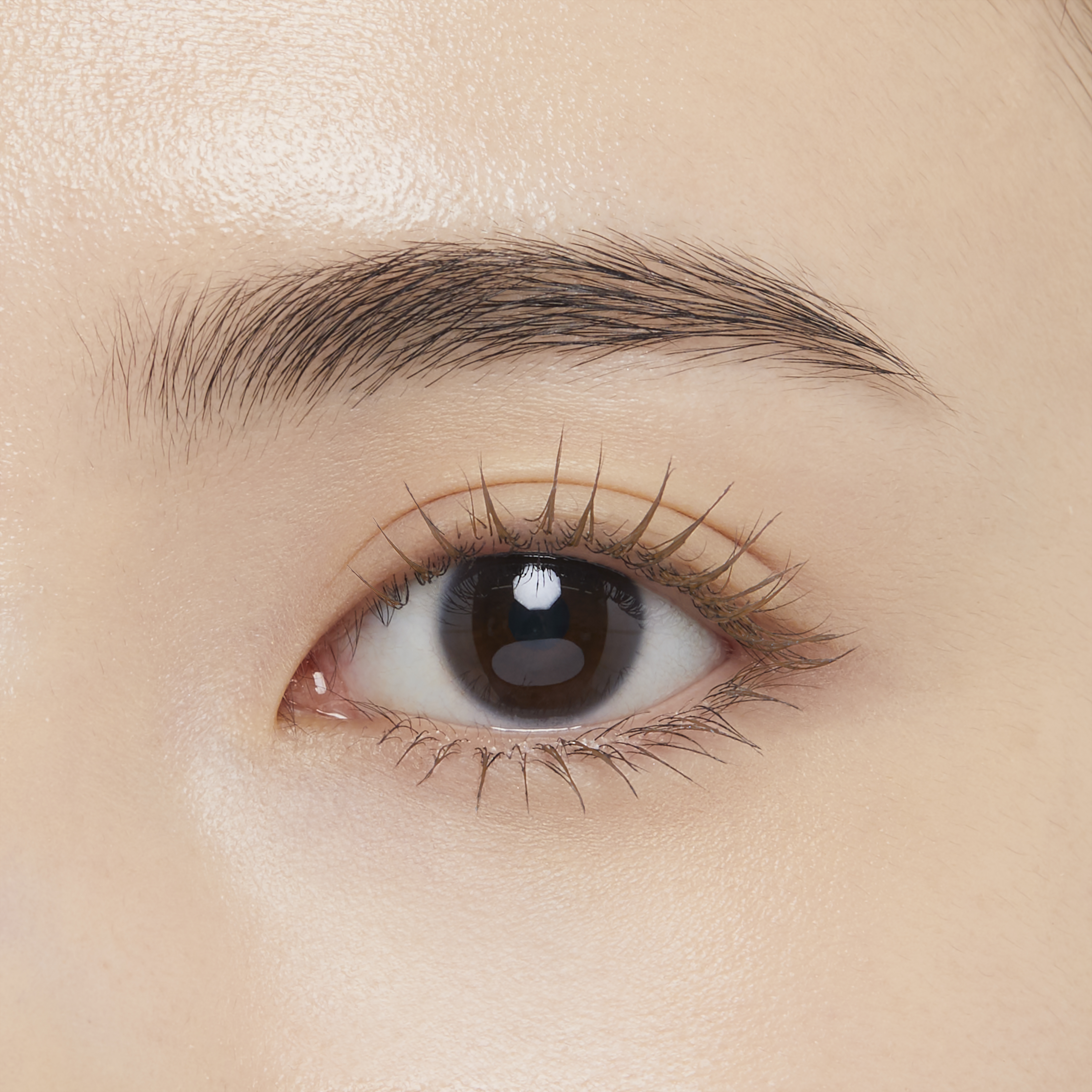 エテュセ アイエディション(ラッシュトップコート) | 02 ラスター