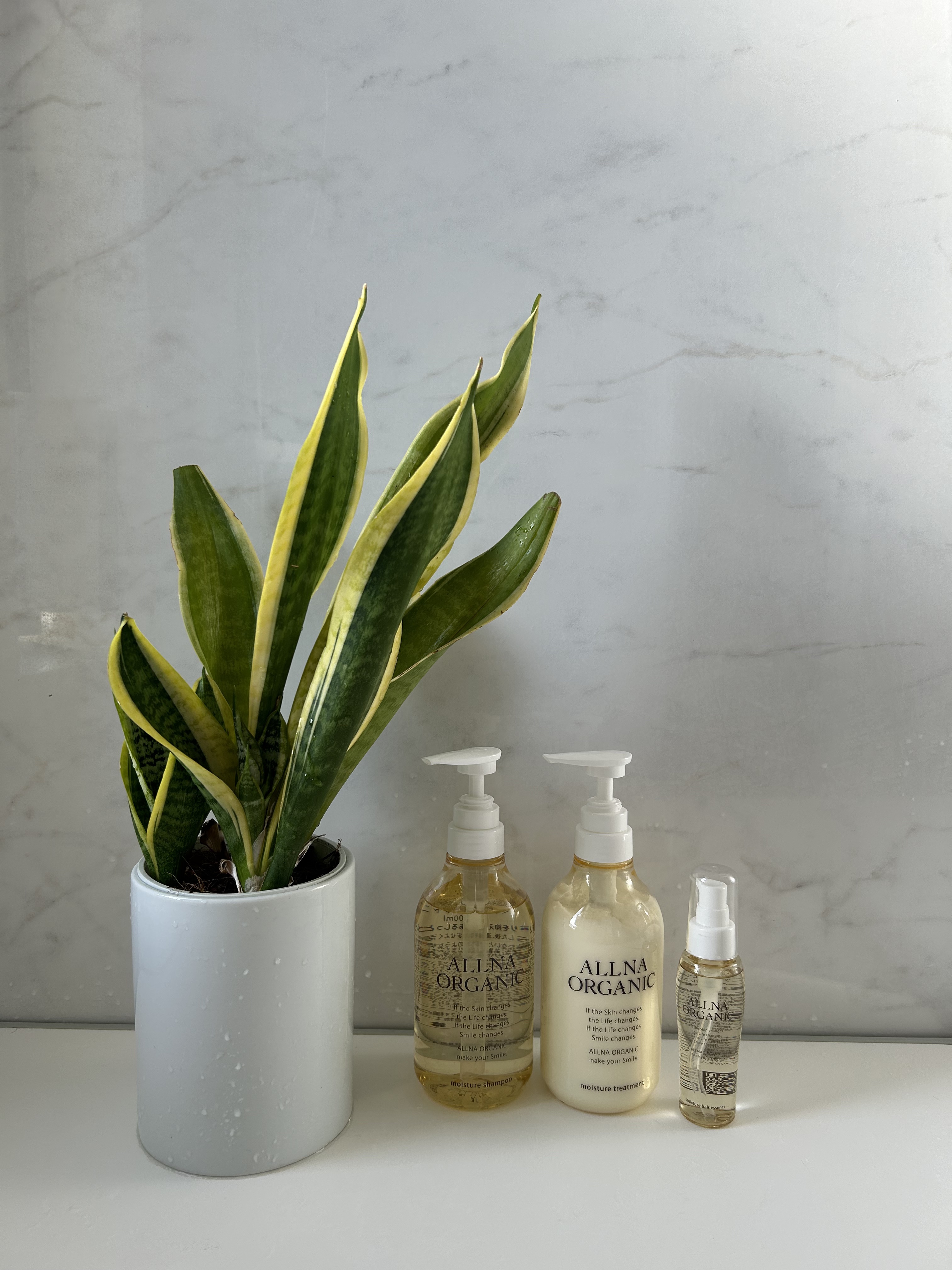 モイスチャーシャンプー＆トリートメント シャンプー/ALLNA ORGANIC/サロンシャンプーを使ったクチコミ（1枚目）