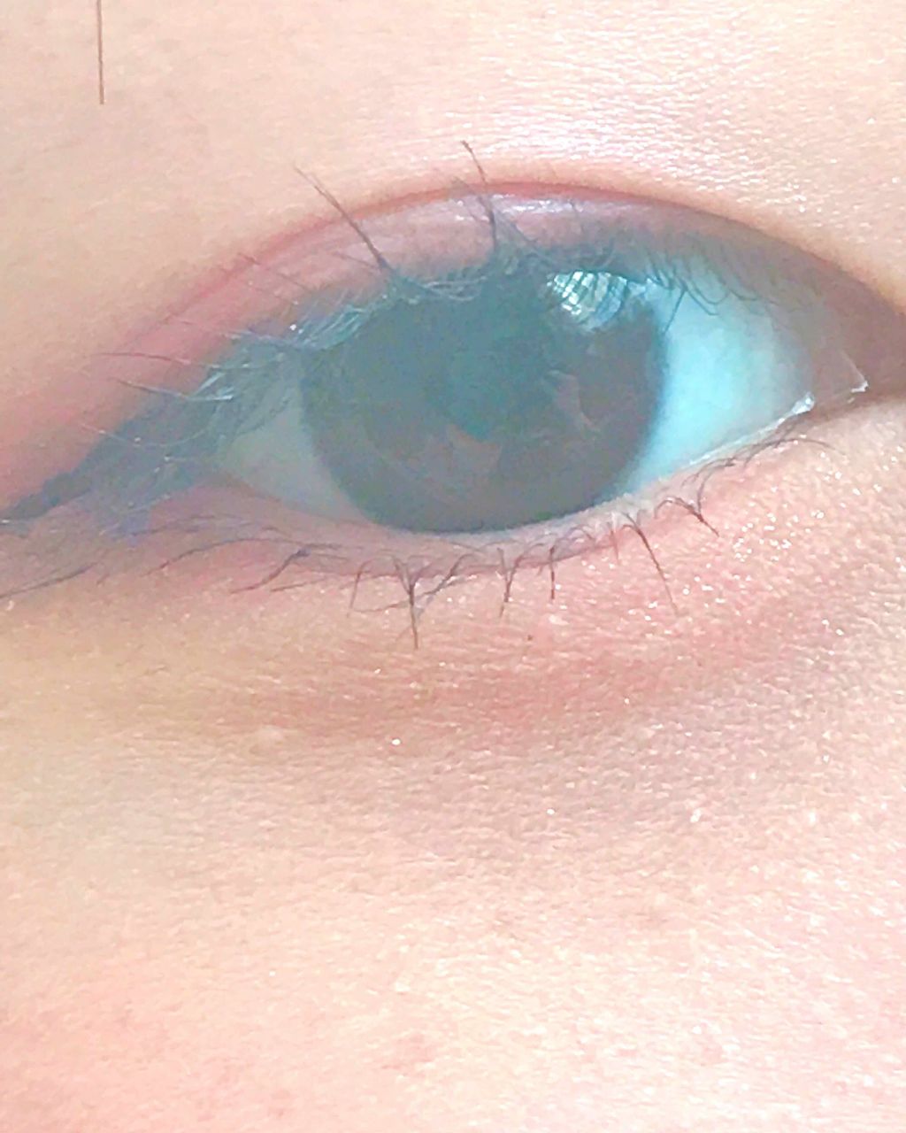 ラッシュエキスパンダー ロングロングロング/MAJOLICA MAJORCA/マスカラを使ったクチコミ(3枚目)