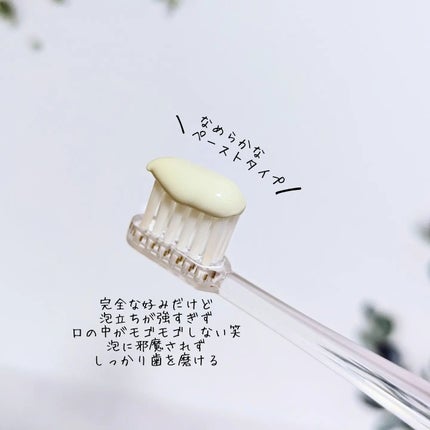 シローラクレイホワイトニング/Shirora/歯磨き粉を使ったクチコミ(3枚目)