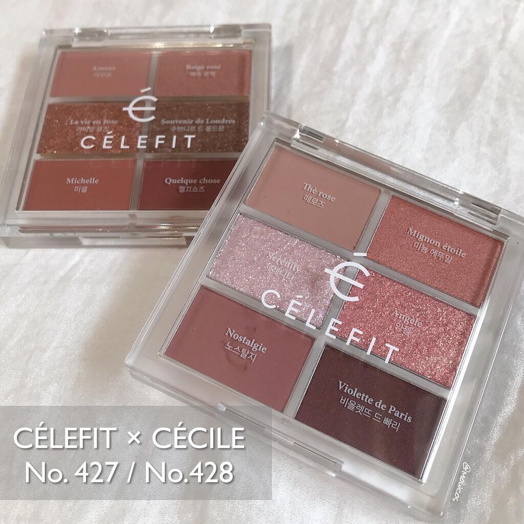 プロアイシャドウパレットセシル/CELEFIT/アイシャドウパレットを使ったクチコミ(1枚目)