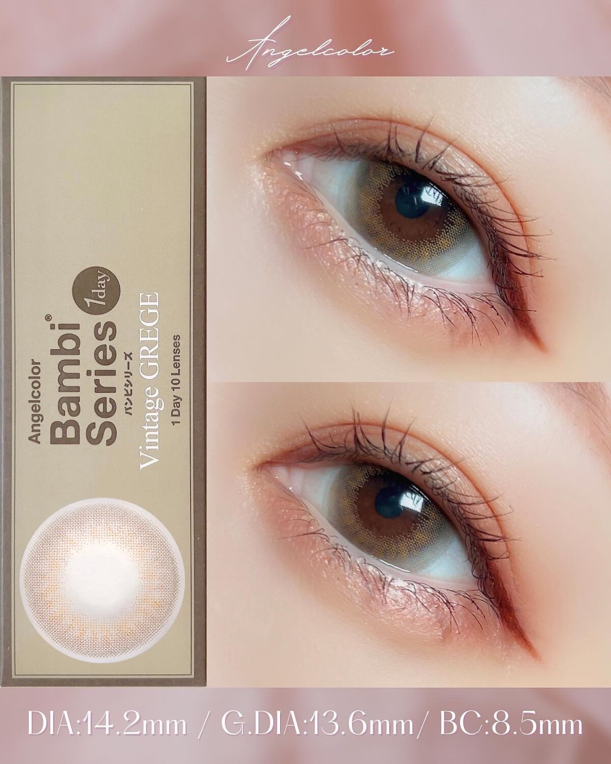 Angelcolor Bambi Series Vintage 1day/AngelColor/ワンデー（１DAY）カラコンを使ったクチコミ（2枚目）